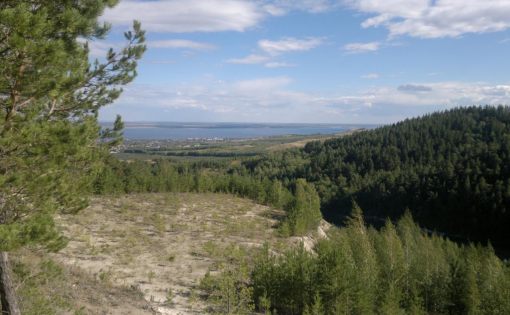 «Хвалынский» национальный парк вошел в 10-ку популярных парков по итогам 2016 года